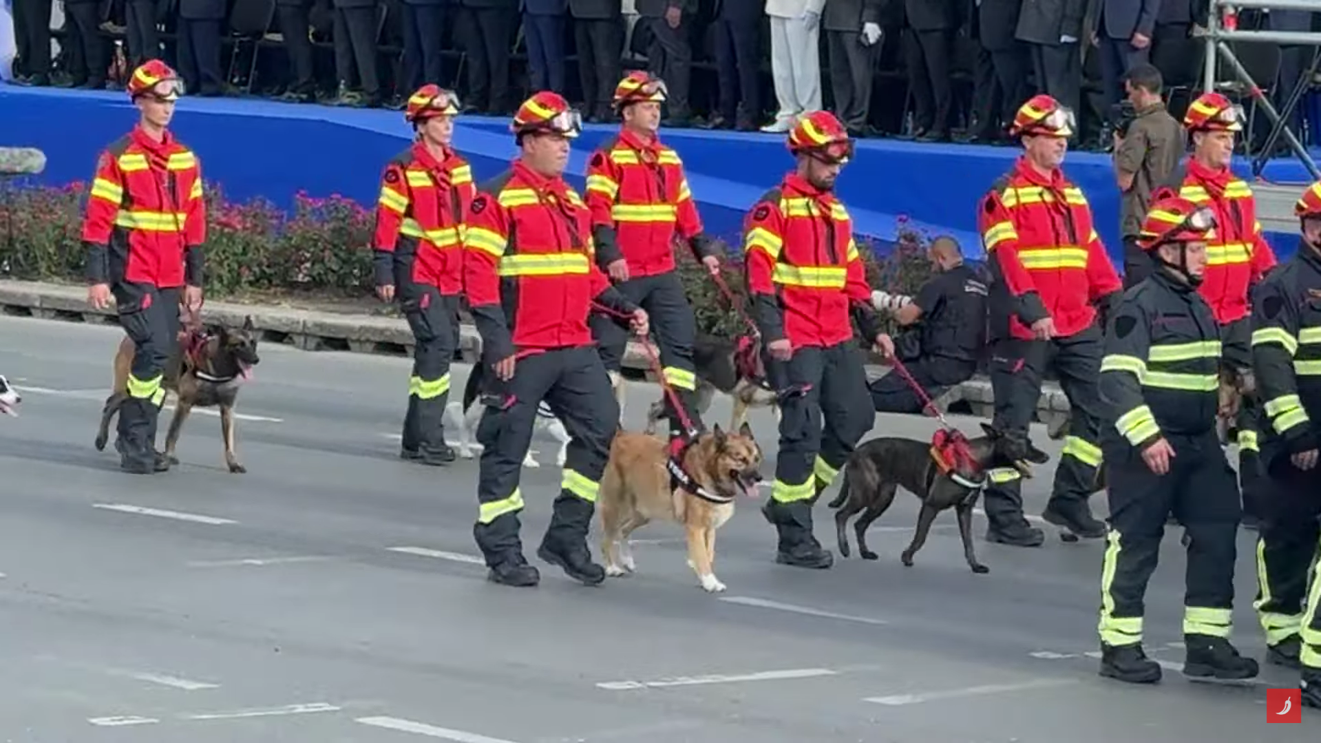 I potražni psi sudjelovali u vojnom mimohodu u Zagrebu
