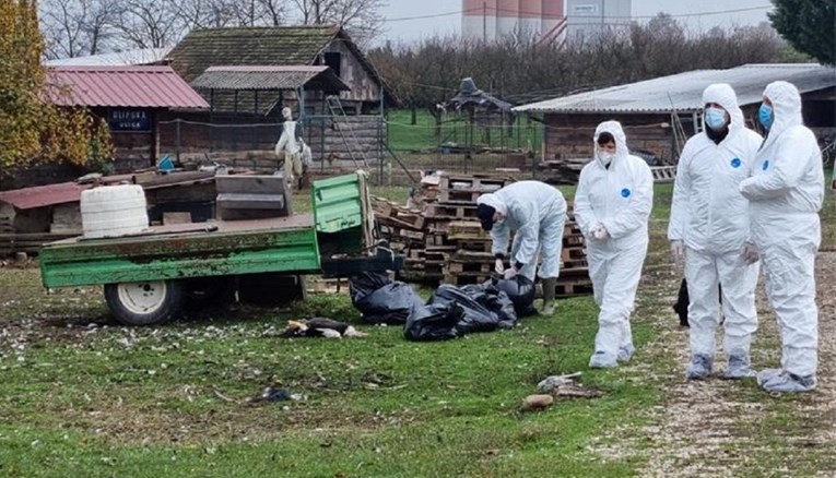 FOTO Inspekcija u Dalmaciji otkrila ilegalnu klaonicu