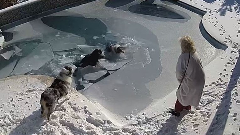 Skočio je u hladni bazen kako bi spasio psa koji je propao kroz led