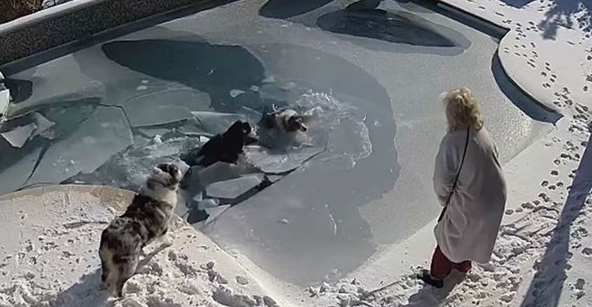 Skočio je u hladni bazen kako bi spasio psa koji je propao kroz led