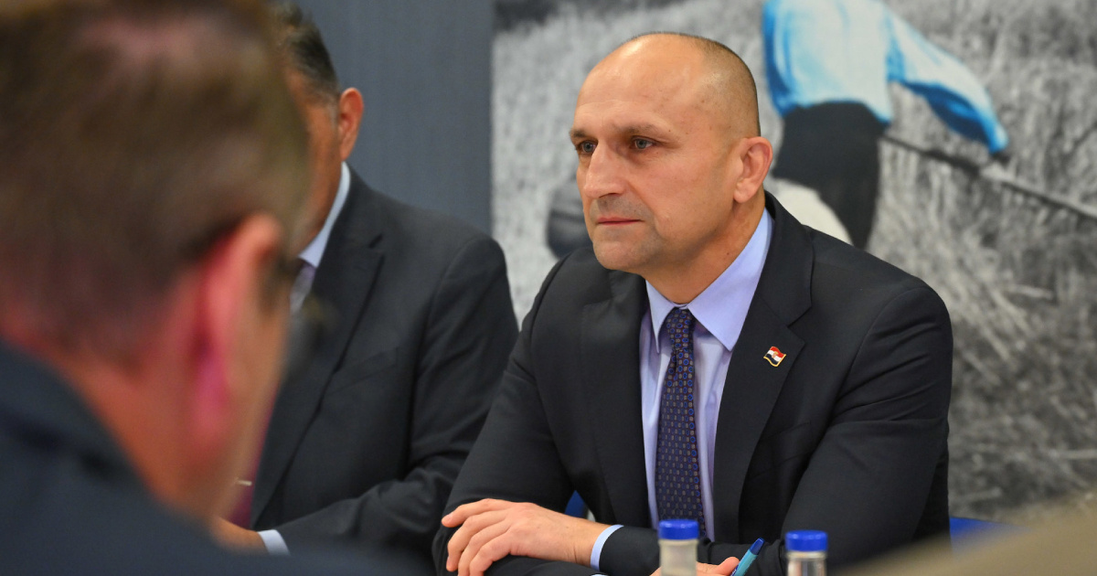 Anušić u Mađarskoj: Srbija se ubrzano naoružava