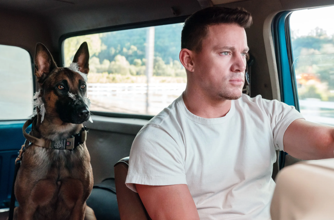 "Dogfishing": Sve što trebate znati o novom (i opasnom) dejting trendu