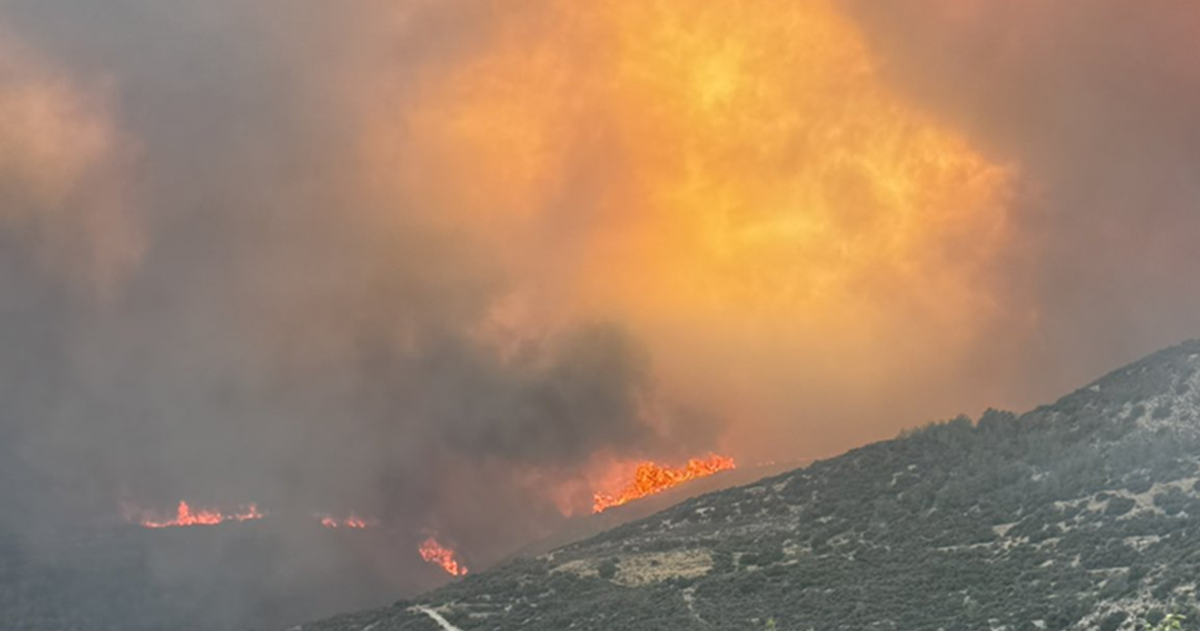 Požari opustošili obalu Cipra. Vlast na udaru zbog nepripremljenosti