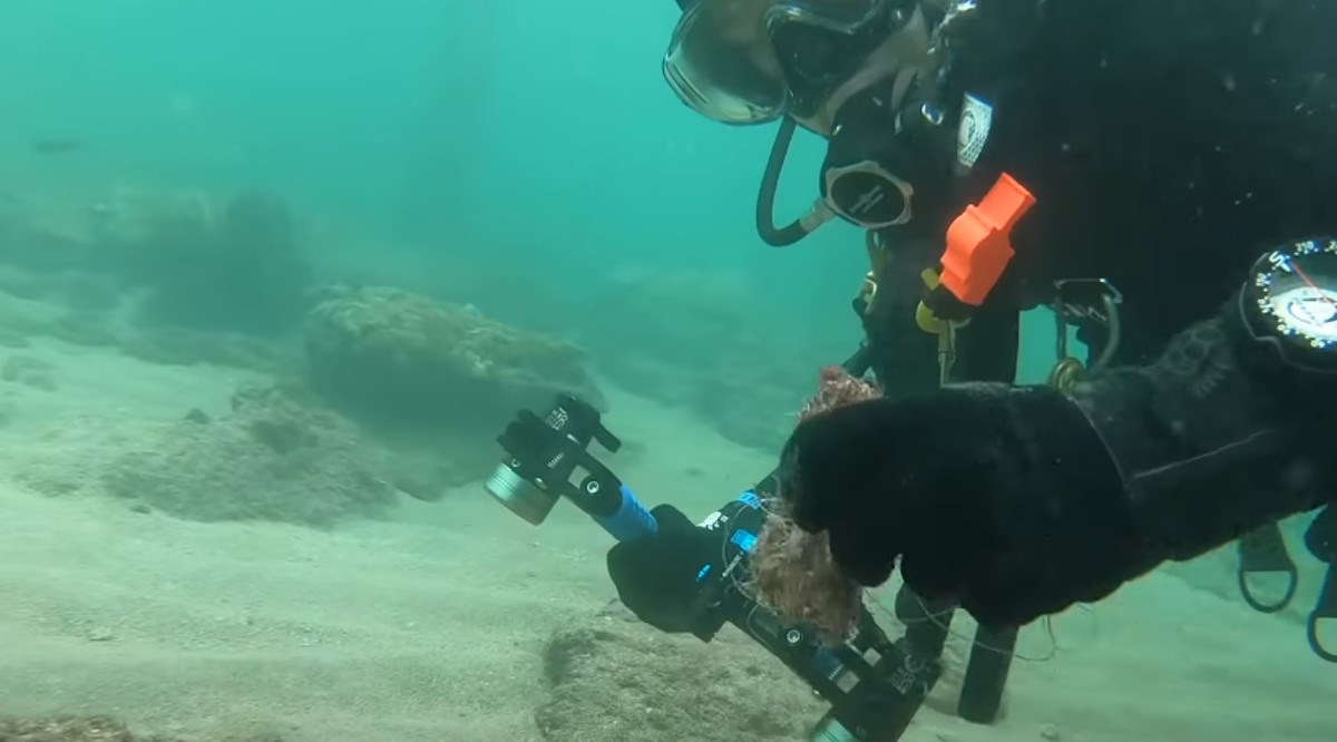 Spasio je morskog psa upetljanog u plastiku i doživio najljepšu stvar u životu