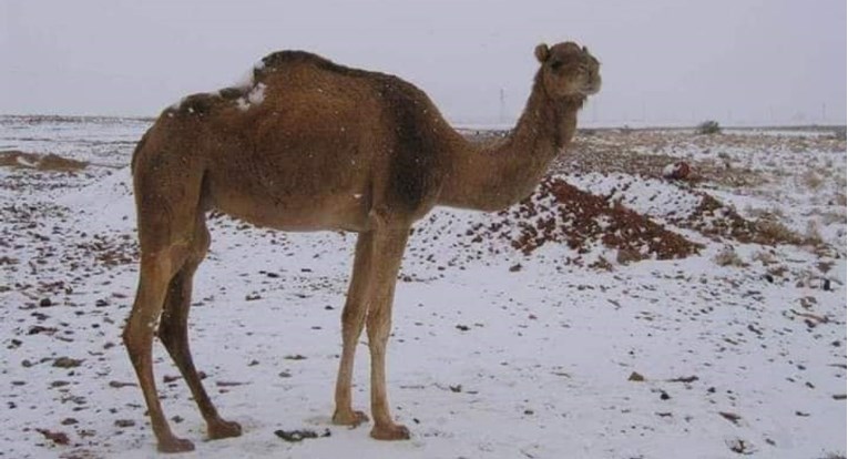FOTO U Alžiru pao snijeg