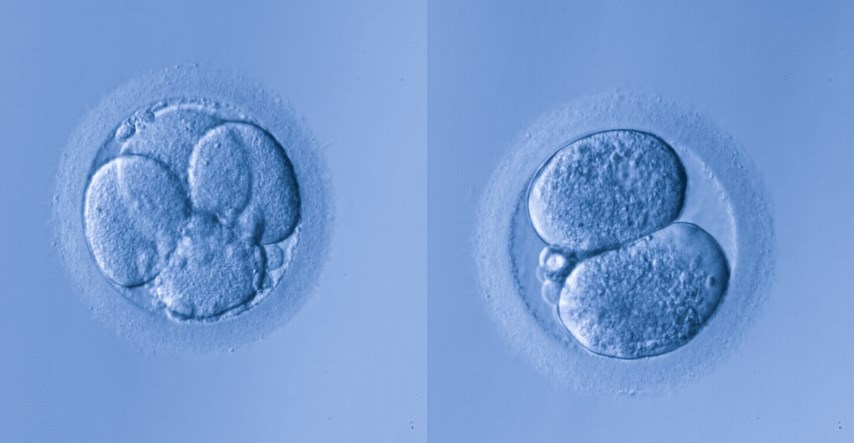 Trumpova protukandidatkinja: Zamrznuti embriji su bebe