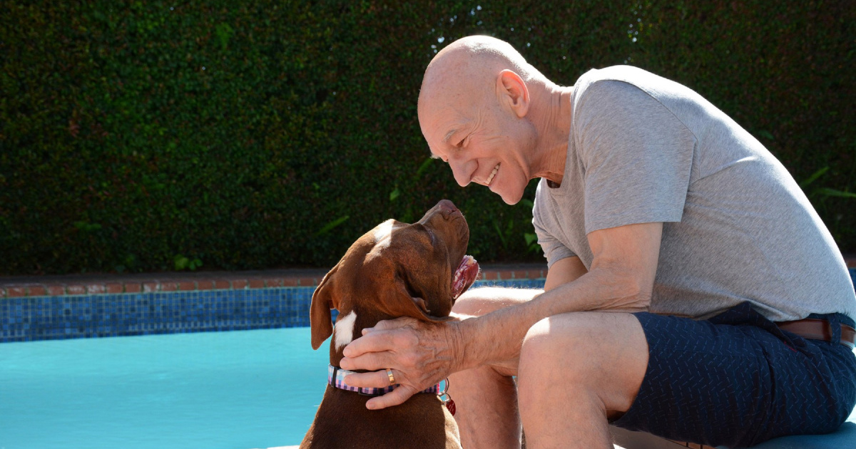 Patrick Stewart imao je veliko srce za životinje. Posebno je volio pit bullove