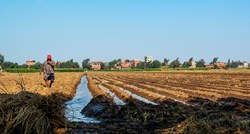 Poljoprivredna tvrtka iz UAE-a navodno kupuje veliko zemljište u Egiptu