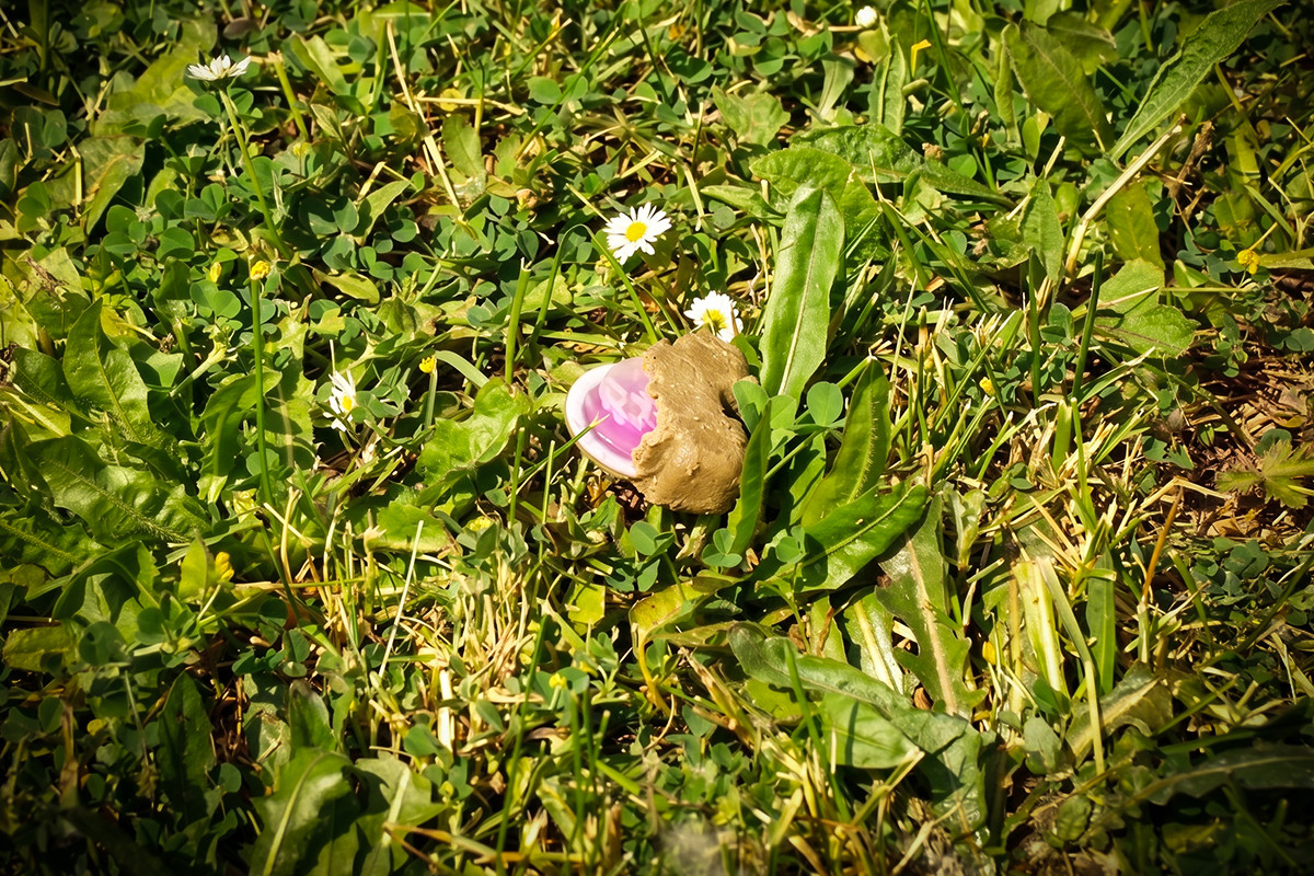 Ovo su "kolačići" koje će zbog lisica bacati iz aviona. Nemojte ih dirati