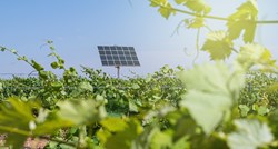 Italija će zabraniti solarne ploče na poljoprivrednim zemljištima