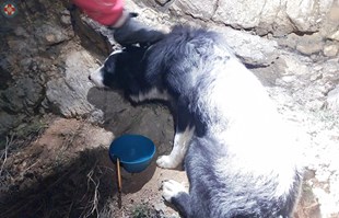 Zadarski HGSS-ovci četiri sata spašavali psa sa strme litice u Jasenicama