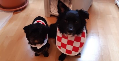 Preslatki Snoopy i Moony iz Samobora spremni su za utakmicu Hrvatske i Brazila