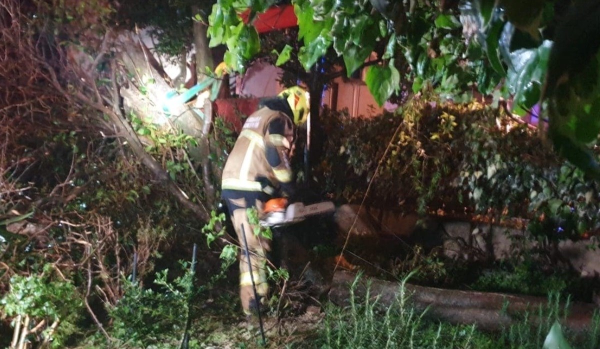 Vjetar srušio drvo na prometnicu u Splitu. Stablo povuklo stup javne rasvjete