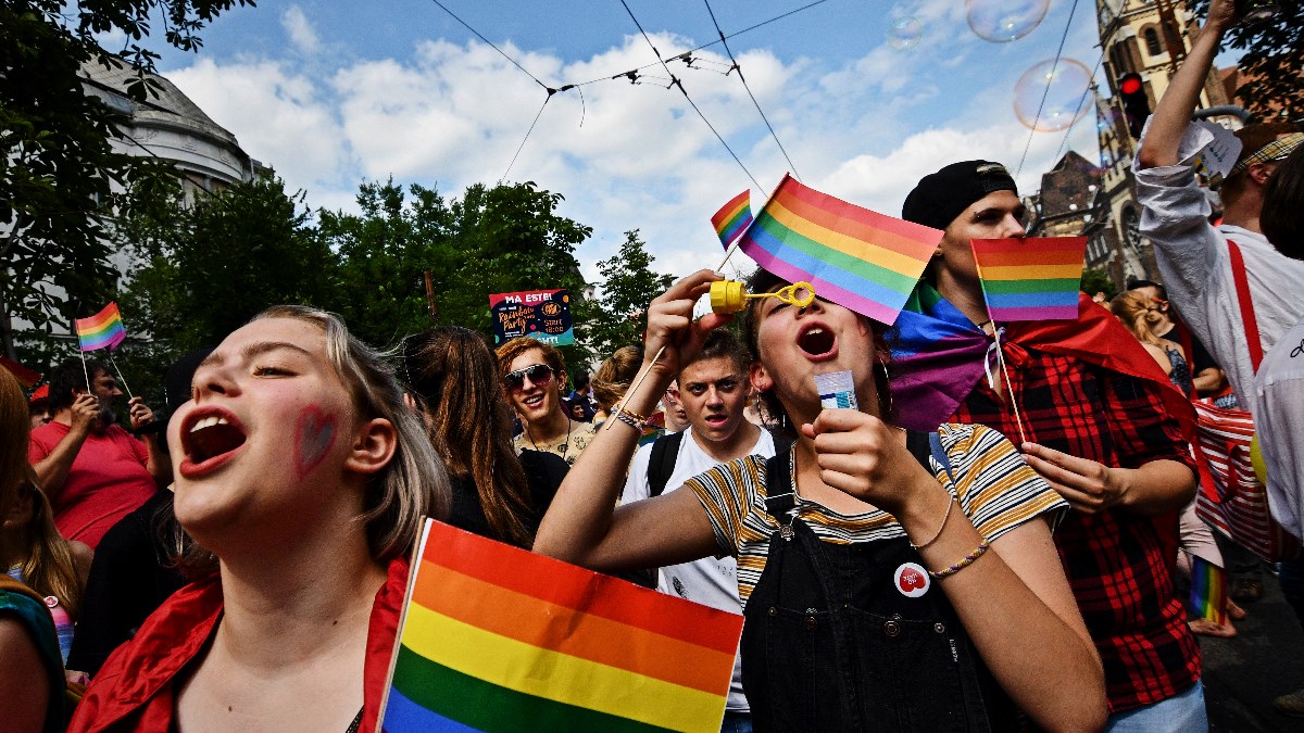 Mađarske udruge: Mogli bi zabraniti Harryja Pottera zbog zakona o homoseksualnosti