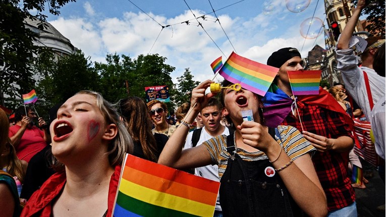 Mađarske udruge: Mogli bi zabraniti Harryja Pottera zbog zakona o homoseksualnosti