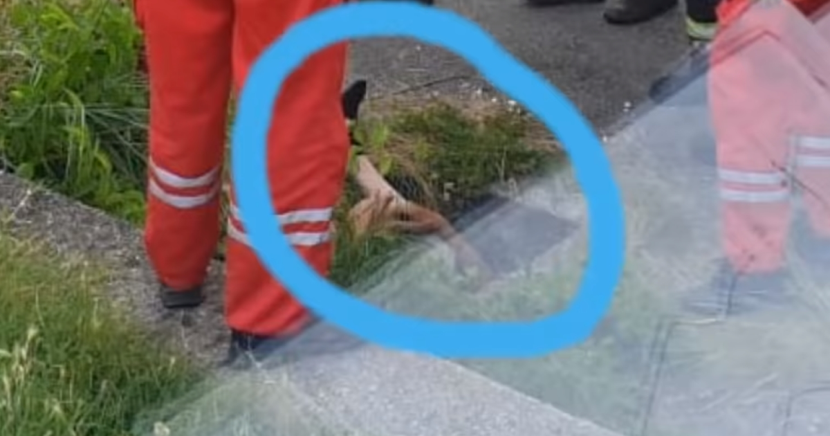 Čovjek u Zagrebu upao u šaht, pa zvao vatrogasce da ga spase. Poslušajte razgovor