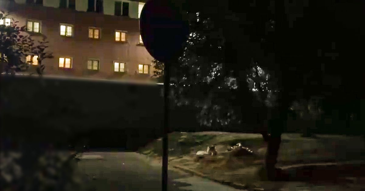 Pogledajte jezivu snimku iz Bjelorusije, vriskovi se čuju iz zatvora