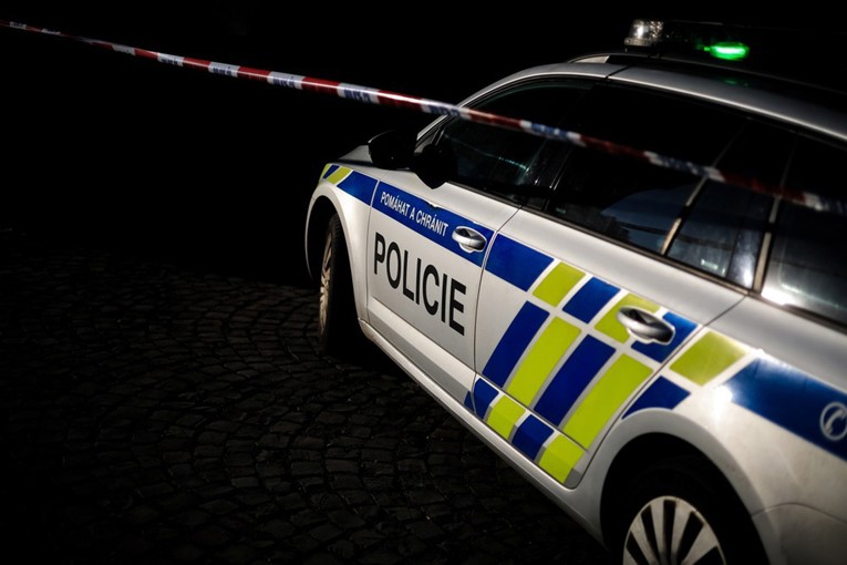Djevojčica (12) rodila dijete u Češkoj, otac je njezin brat (16). Dobio je uvjetnu