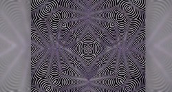 Ova zapanjujuća optička iluzija skriva dvije životinje, koju vidite?