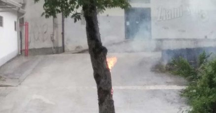 Nevrijeme u unutrašnjosti Istre, grom zapalio drvo