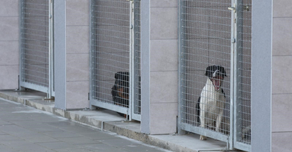 Zagreb dobio novo oporavilište za životinje u Dumovcu. Svi psi sad imaju svoj boks