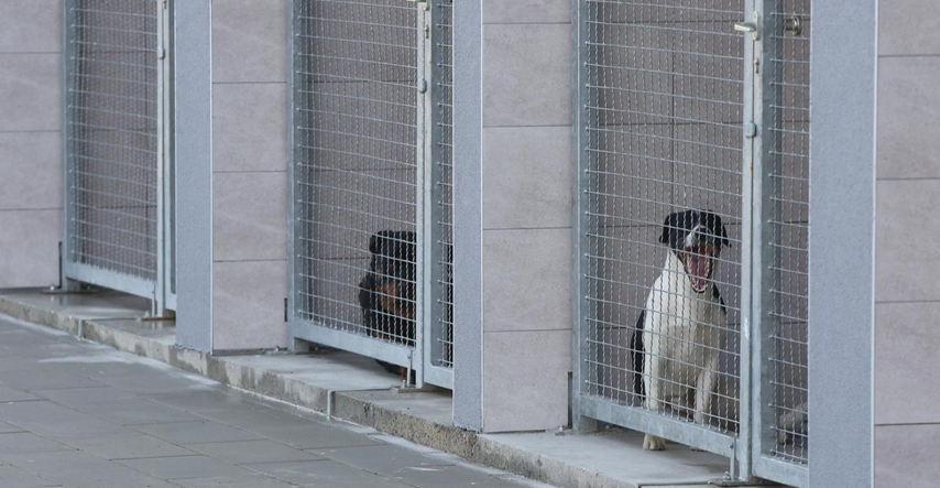 Zagreb dobio novo oporavilište za životinje u Dumovcu. Svi psi sad imaju svoj boks