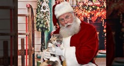 Reakcija mačke nakon što je upoznala Djeda Božićnjaka postala hit na internetu
