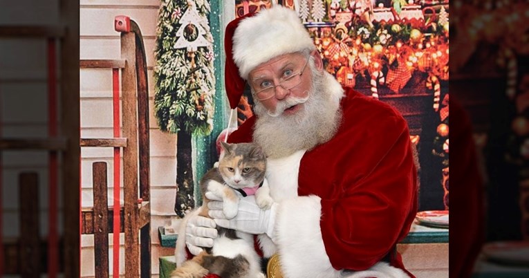 Reakcija mačke nakon što je upoznala Djeda Božićnjaka postala hit na internetu