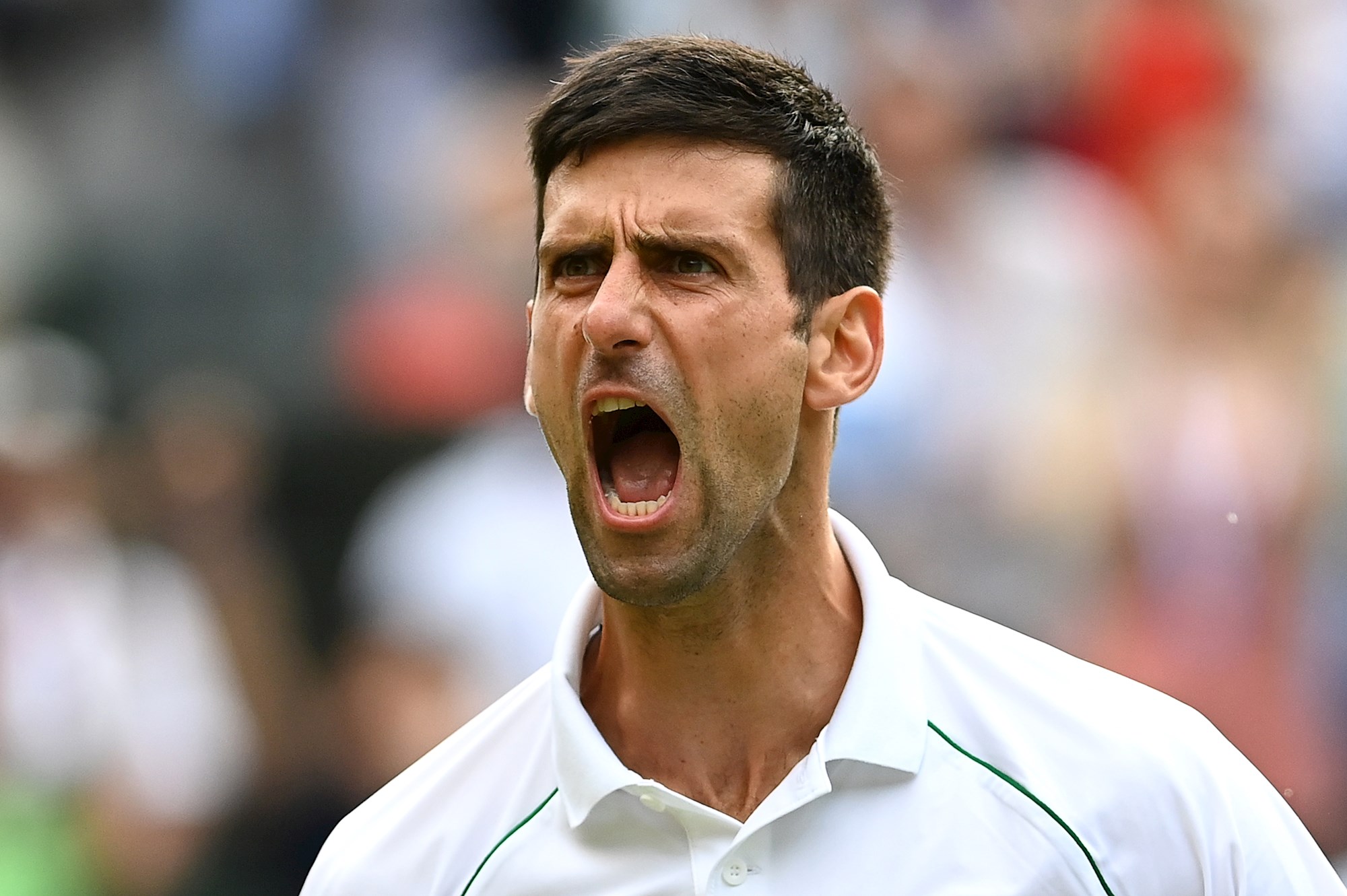 Na Wimbledonu sklanjali srpske zastave? Đokovićevi navijači bijesni