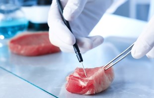 Florida zabranjuje laboratorijski uzgojeno meso, a ovo je razlog