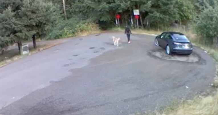 Žena dovezla 13-godišnjeg psa u šumu pa učinila nezamislivu stvar