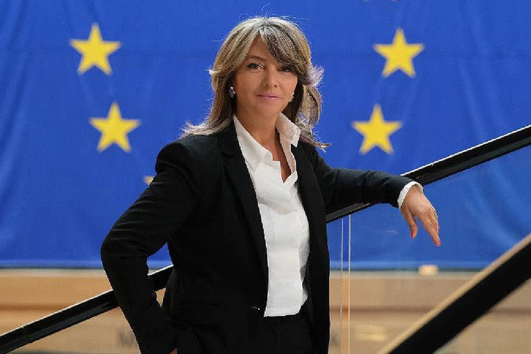 HDZ-ova europarlamentarka: EU ne može biti samo gospodarski projekt