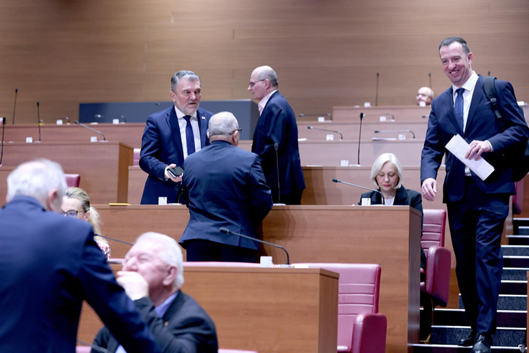 DP-ovac: Vrijeđa me kada me bilo tko nazove ustašom