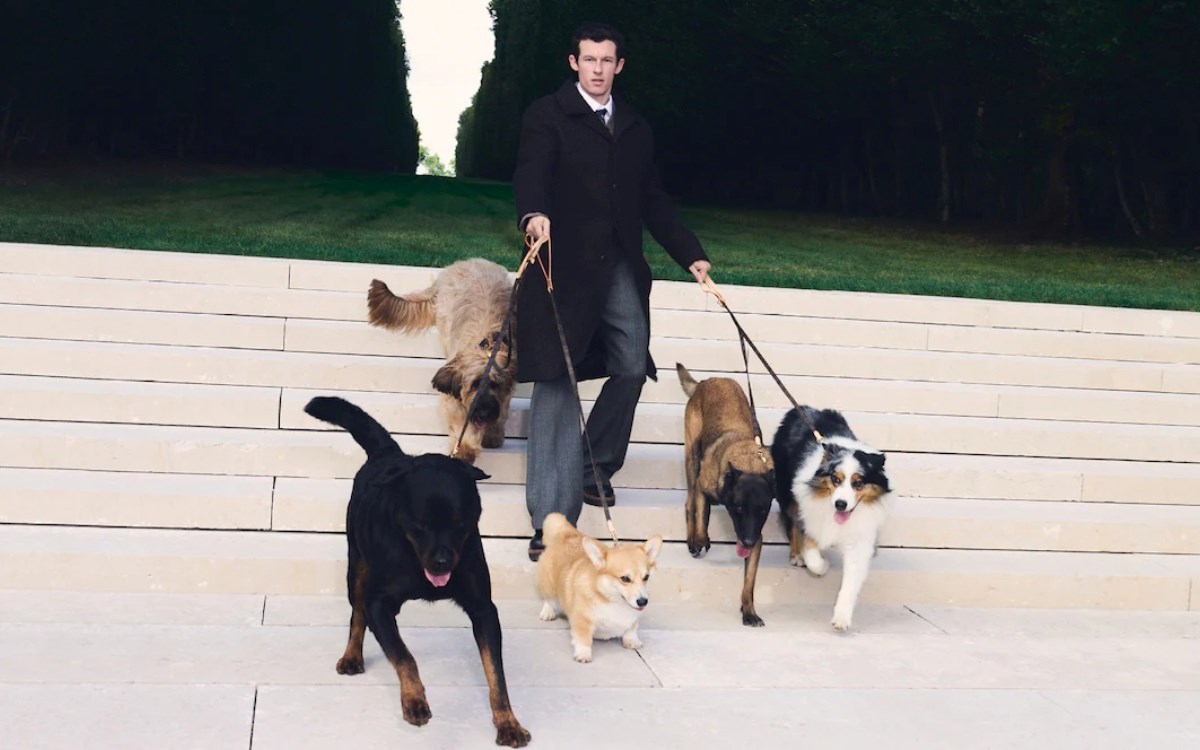 Louis Vuitton ima novu kolekciju za pse