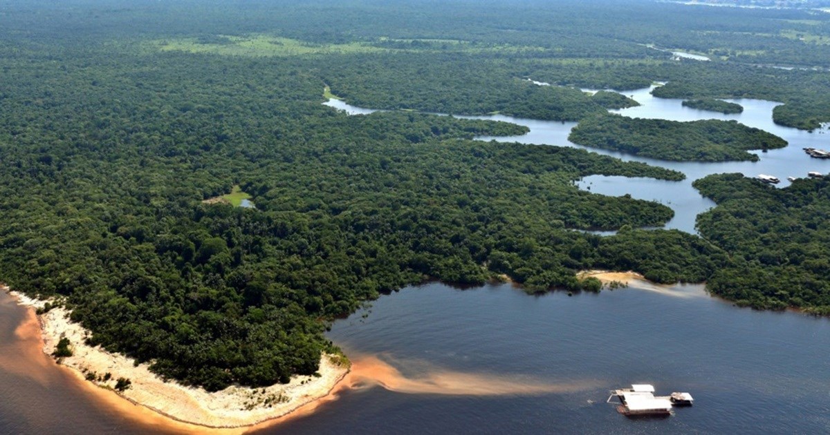 Tropske šume kreću prema opasnom zaokretu. "Ispuštaju više C02 nego što ga upijaju"