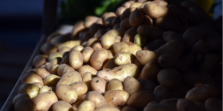 Hrvatska je u prva tri mjeseca godine uvezla preko 8 milijuna eura krumpira