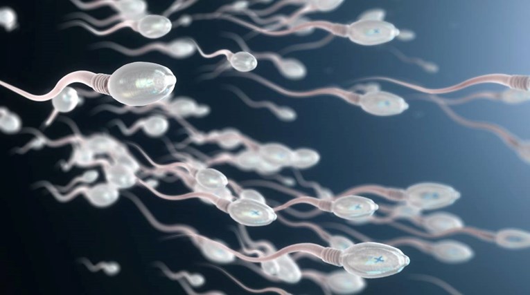 Eksperimentalna kontracepcijska pilula za muškarce "isključuje" spermije na jedan dan