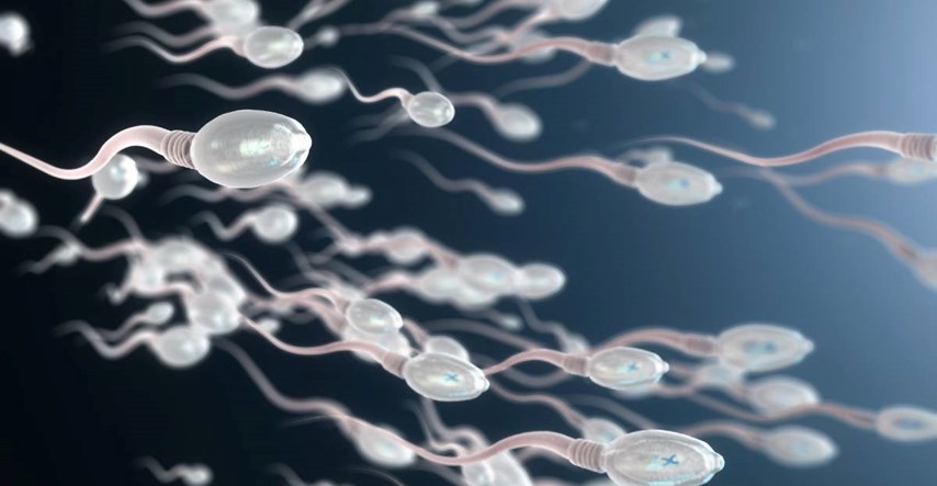 Razvija se kontracepcijska pilula za muškarce. "Isključuje" spermije na jedan dan