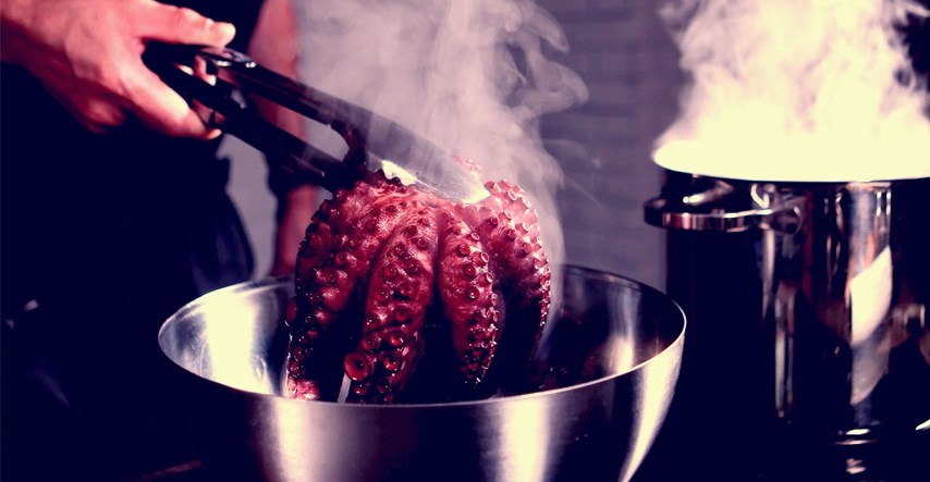 Analiza: Hobotnice, jastozi i rakovi mogu osjećati bol, ne kuhajte ih žive