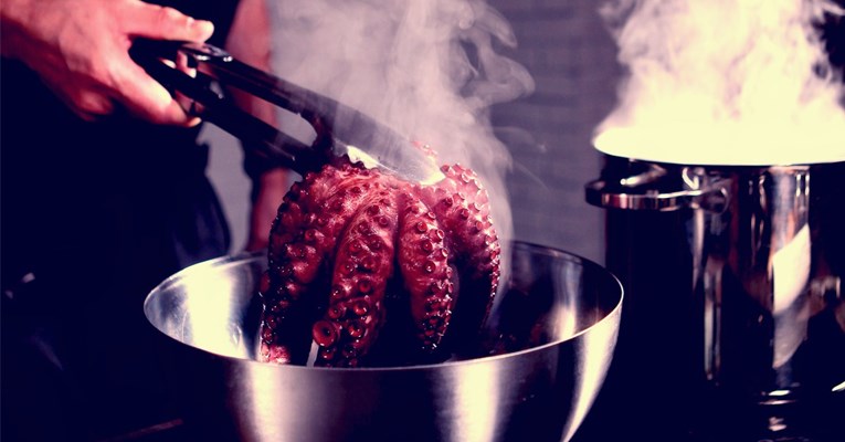 Analiza: Hobotnice, jastozi i rakovi su osjećajna bića i ne smije ih se kuhati žive