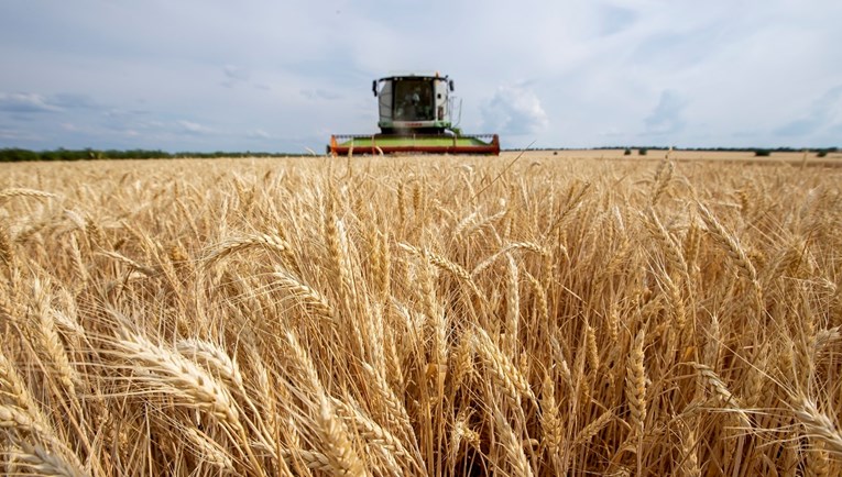 Ukrajina i Rusija imale važan sastanak o izvozu žita iz crnomorskih luka