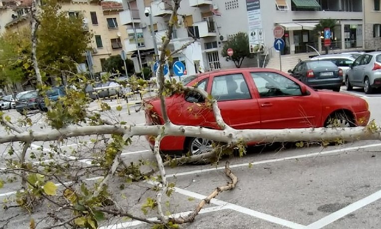 Olujno jugo u Dalmaciji: Vjetar čupa stabla u Splitu, veliki valovi u Dubrovniku