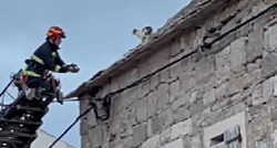 VIDEO Vatrogasac s Brača spasio mačku s krova, ljudi oduševljeni: Ovo je pravi heroj