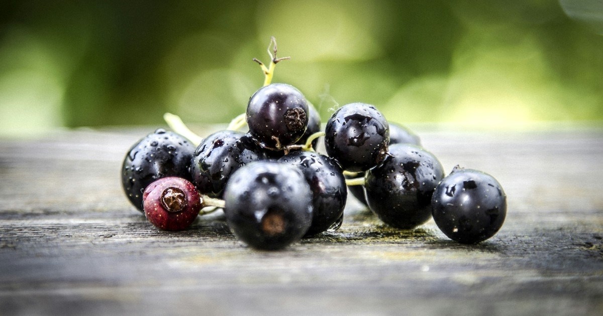 Četiri vrste voća s više antocijanina od borovnica, prema nutricionisticama