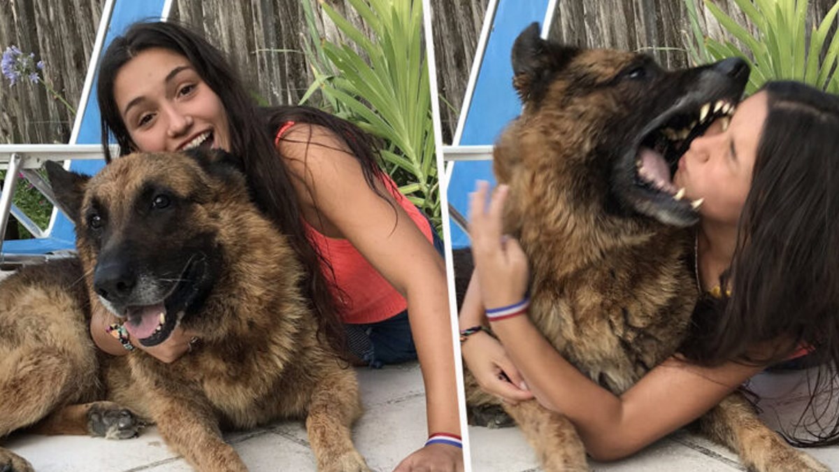 Fotografiranje je završilo jezivo: Djevojka dobila 40 šavova nakon ugriza psa