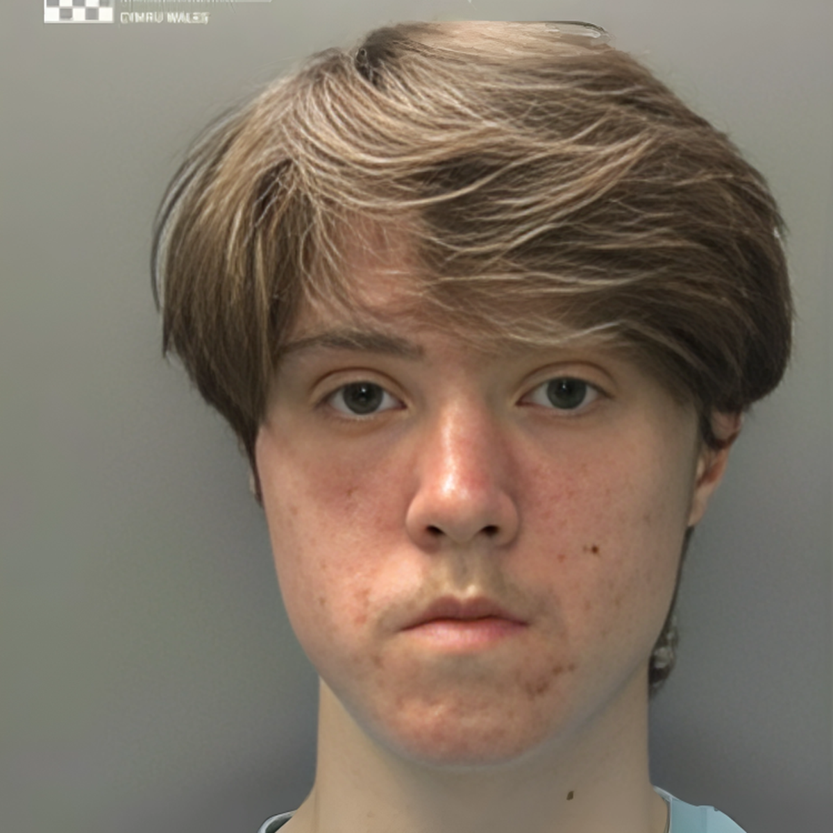 Osuđen tinejdžer iz Walesa. Htio postaviti bombu na koncertu Oasisa