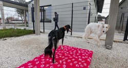 U Puli je otvoreno moderno sklonište za životinje, moći će primiti 90 pasa