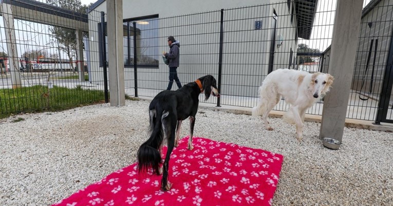 U Puli je otvoreno moderno sklonište za životinje, moći će primiti 90 pasa