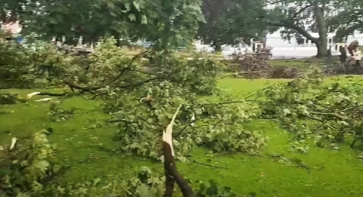 VIDEO Obilne kiše u Zürichu poplavile ulice, čupale stabla i izazvale prometni kaos