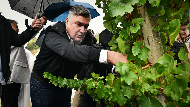 FOTO Milanović brao grožđe s diplomatima
